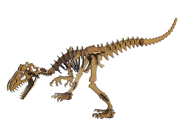 Ahşap dinozor iskelet modeli
